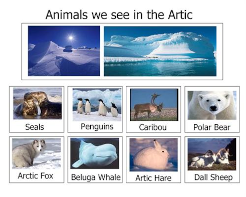 Animal that live in the Arctic Animal that live in the Arctic
