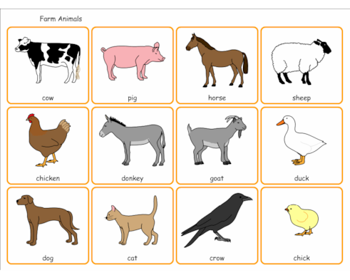 Farm animals Farm animals