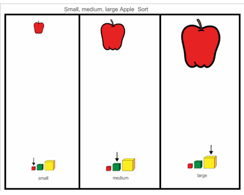 Small, Medium and Large