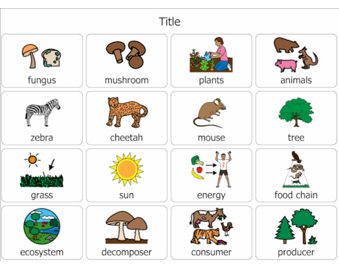 Decomposer Animals List