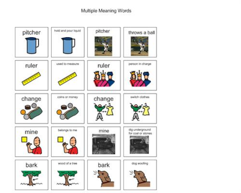 Real Photo Language Cards: Multiple Meaning Words