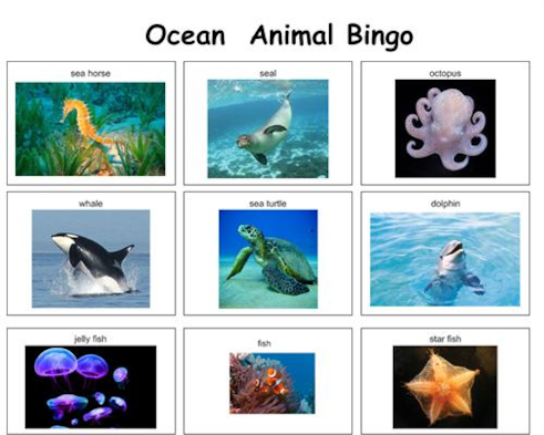 Ocean Animals Bingo