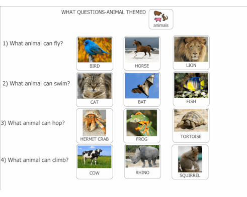 WHAT QUESTIONS-ANIMAL THEMED WHAT QUESTIONS-ANIMAL THEMED