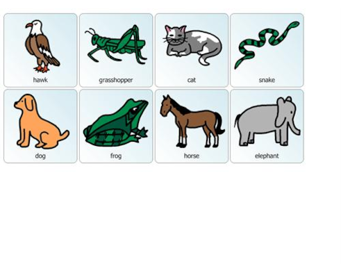 Animal Food Chain Communication Board Animal Food Chain Communication Board