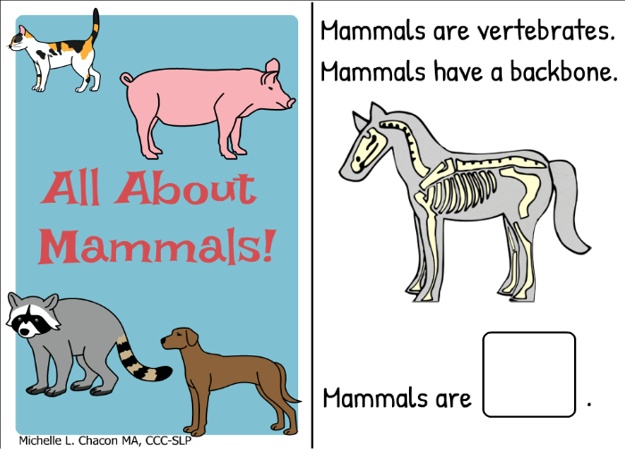 Vertebrates Mammals Facts