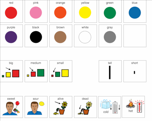 Basic adjetives (Big, Small, Long, Short)