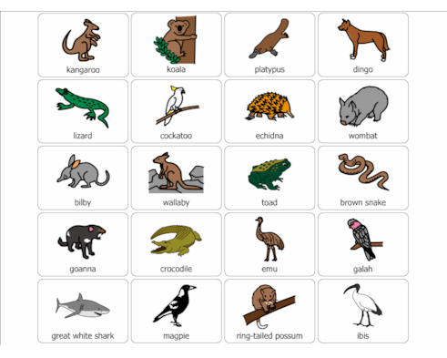 Native Australian Animals Native Australian Animals