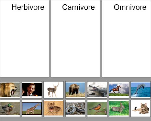 herbivore omnivore carnivore sort