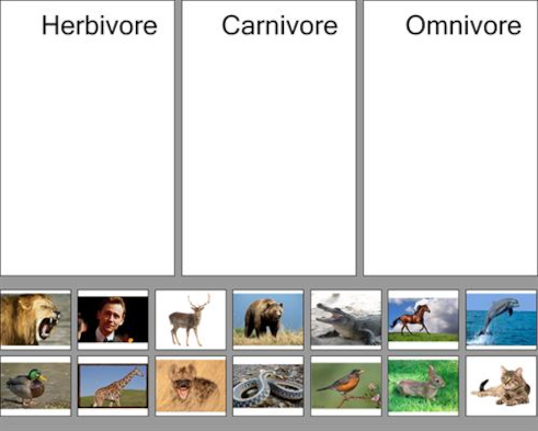 herbivore carnivore omnivore