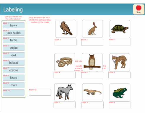 Desert Animals Labeling Desert Animals Labeling