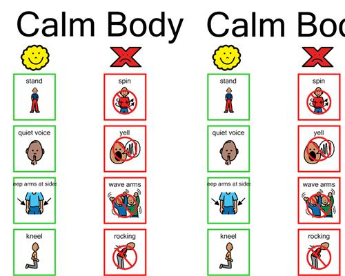 calm body boardmaker