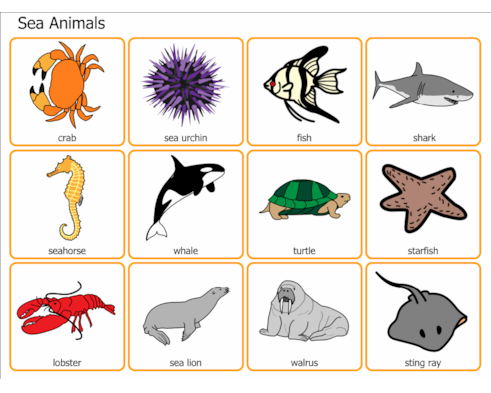 Sea animals Sea animals