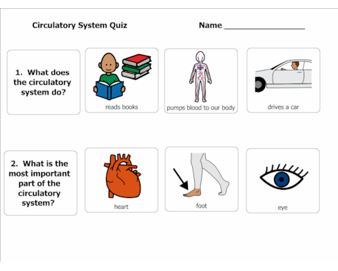 Quiz - The Circulatory System