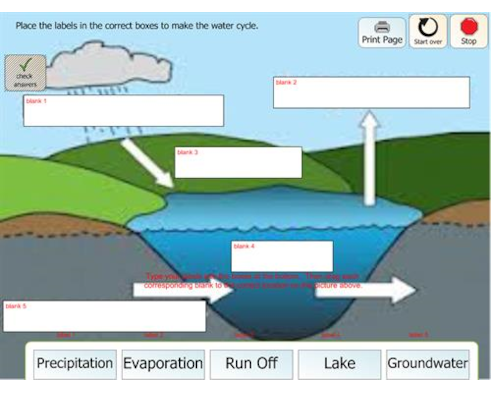 The water cycle with labels