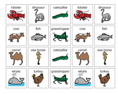 Land vs. Not Land Animals - Pictures Land vs. Not Land Animals - Pictures