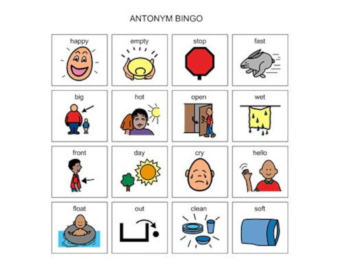 Synonym Antonym Bingo