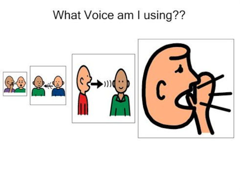Voice Level For Small Group