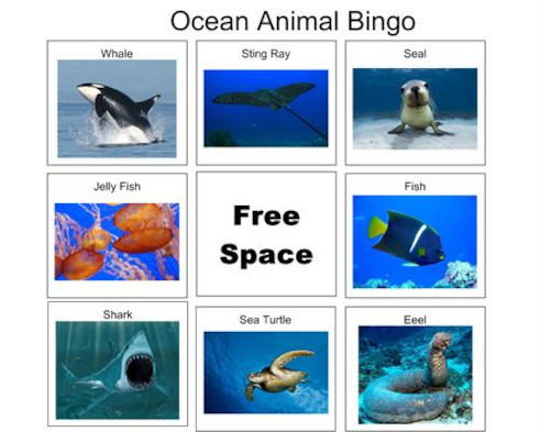 Sea/Ocean Animals bingo