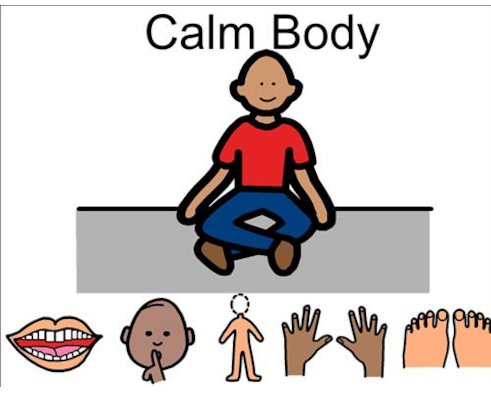calm body boardmaker