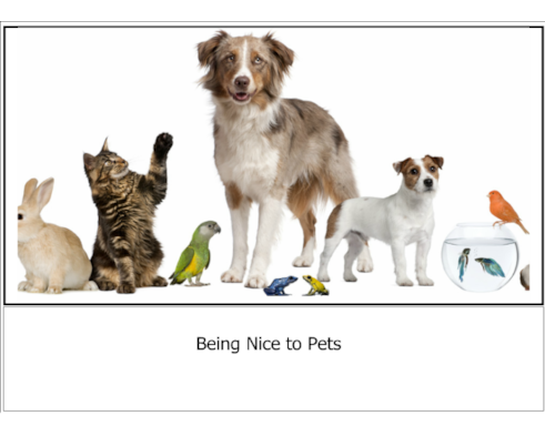 Being Nice to Pets Social Story