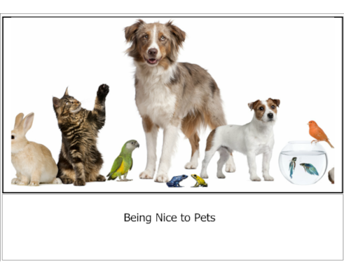 Being Nice to Pets Social Story Being Nice to Pets Social Story