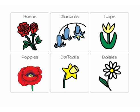 Flower Symbols January 2021