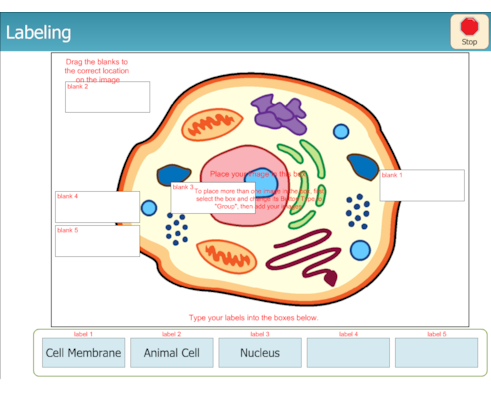 animal cell labeling