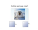 lesson image