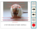 lesson image