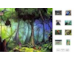lesson image