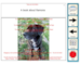 lesson image