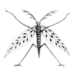 Member Picture