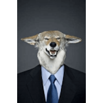 Member Picture