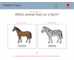 lesson image
