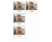 lesson image