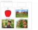 lesson image