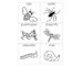 lesson image