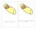 lesson image