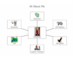 lesson image