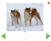 lesson image