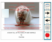 lesson image