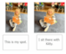 lesson image