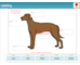lesson image