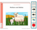 lesson image