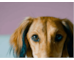 lesson image