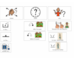 lesson image