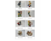 lesson image
