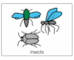 lesson image