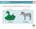 lesson image
