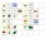lesson image